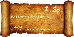 Palicska Szolón névjegykártya